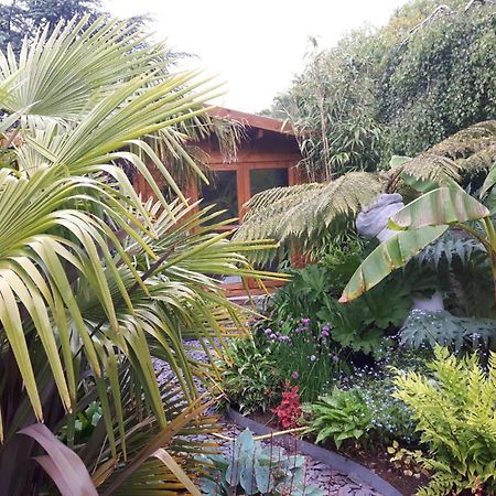 Cabin Set In A Beautiful Romantic Tropical Garden Sutton Coldfield Exterior foto
